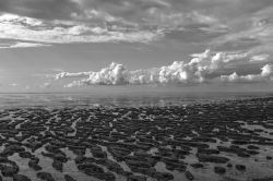 05 Wattenmeer 1